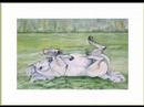 Equine Paintings