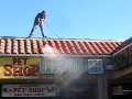ROOF TILE CLEANING