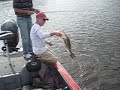 Big BASS caught in Texas