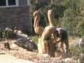 Pelican Chainsaw Sculpture