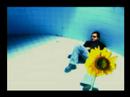 Bajo el Sol - Carlos Salas