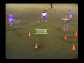 Entrenamiento Fuerza explosiva