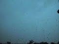 Onweer 23 augustus 2008 in Rozenburg ZH deel 2