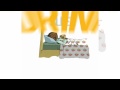BLACKBOX 2009_4.wmv