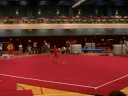 performance 
hubei gymnastic team in 2008 hk yuenlong sports festival