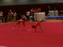 performance 
hubei gymnastic team in 2008 hk yuenlong sports festival