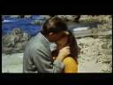 The Sandpiper