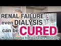 Natural treatment and diet for kidney failure