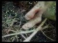 Агата Кристи - Ай Лав Ю