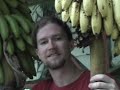 Jungle-Fusion Banana Bread Recipe