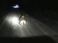 Extreme Sledging