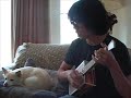 what grown man sings to his dog?   this one, that's who!!!

made this video with my papa's boxes ukulele kit that i personalized with a paw print soundhole.  because we all love dogs that much right?

looks like i slowly bore my dog into sleep with this performance.  he's quite the unsubtle critic...

positive and negative comments welcome!

check out www.ukuleleunderground.com and keep on rockin' in the free world!