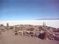 Isla De Pesca, Salar De Uyuni