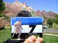 videos de Zion National Park & Topps Chrome - KarlsKards.com