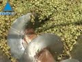 imágenes del proceso de producción de vino en Israel.