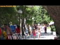 4 km long promenade in high pinetrees shadows