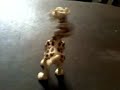 Melman
