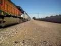 RARE! A MUST SEE! BNSF #5506 LEADING 4 HRS. LATE #713 WITH BANGED UP CDTX #2009!