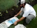 Tougaloo-Rainbow Sustainable Garden - weed control Tougaloo-Rainbow Sustainable Garden - weed control