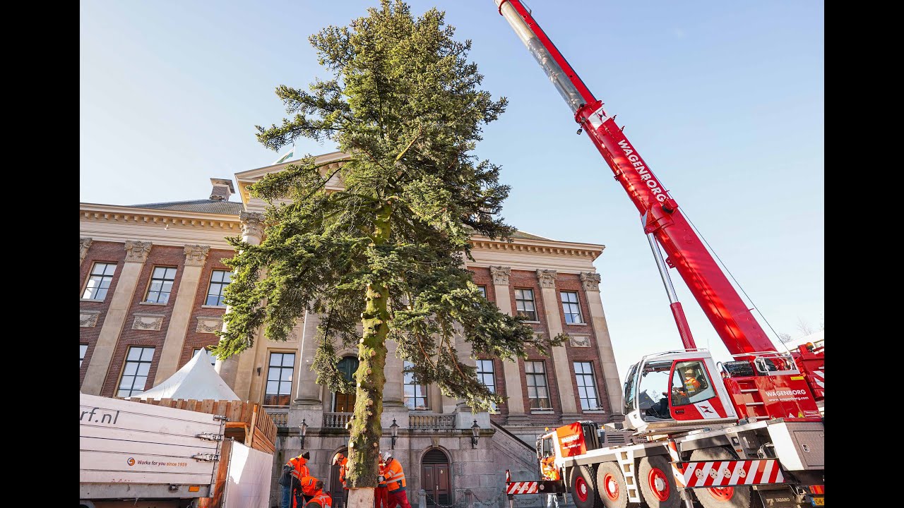 Grootste kerstboom ooit geplaatst Grote Markt Groningen(Video)