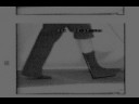 Improbable Research Collection #110