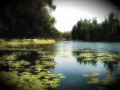 **The Beauty of TRIVANDRUM**- A Celestial Touch of Serenity