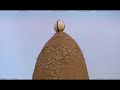 Video is from 