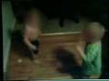 videos de Custodial Father Urges Children to Fight