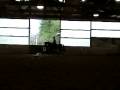 videos de Carmina Dressage