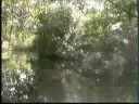 rio dulce