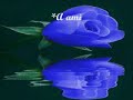 mensagens de amor