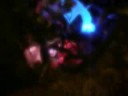 The Borealis Tree Mood Lamp