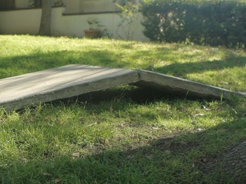 ReasonTV - Ever walk down a Los Angeles city sidewalk? It may feel like climbing the Himalayas. Tree roots have uplifted many city sidewalks across L.A., turning a quic...