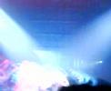 avril lavigne the best danm thing tour