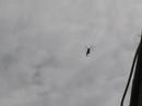 Helicopters over Frankfurt