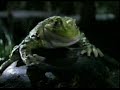 Very Funny Budwieser Commercial!! Very Funny Budwieser Commercial!!