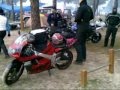 motauros 2009 portalmotos