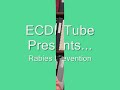 communicable disease nurse, cynthia miller, educates us on how to prevent rabies.