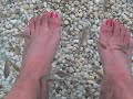 fish cleaning my feet hahahaha