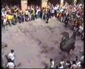 Ball del Drac Festa Major Solsona 2005 - L\ Ball del Drac Festa Major Solsona 2005 - L\