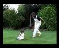 Kick the baby Kick the baby
