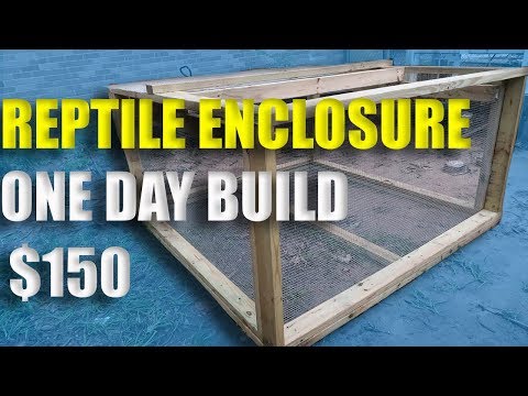 YouTube reptile video