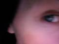 JUNKYARDOGvideos\ JUNKYARDOGvideos\
