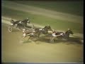 1983 Messenger Stakes Roosevelt Raceway
