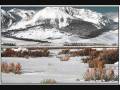 videos de Desert Biome.wmv