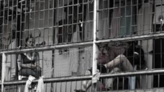 Consejo Asesor Capítulo Chileno NMWA