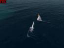 Melges Fleet Race