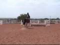 Sophisticated Fun - Hunter For Sale