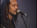 Aliança - Nasce Selvagem Aliança - Nasce Selvagem