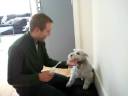 Gus getting teeth brushed Gus getting teeth brushed